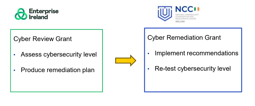 Table explaining the Cyber Review Grant and the Cyber Remediation Grant